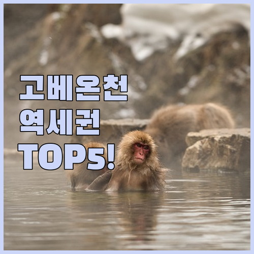 고베 호텔 추천 산노미야역 근처 온천..