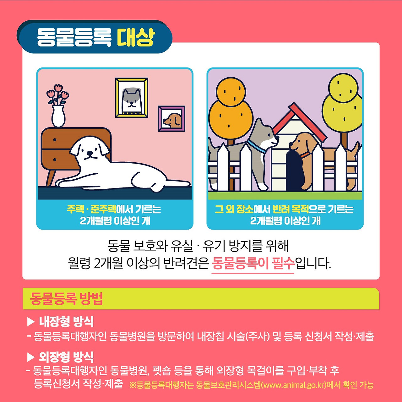 반려동물 등록 장소와 방법