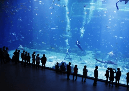 아쿠아플라넷-수족관