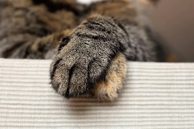 족저근막염 초기 증상 및 치료 방법 알아보기 &ndash; 실비보험 적용 여부까지