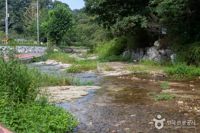 무수골계곡
