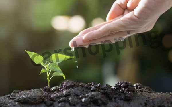 자동차 탄소포인트제 홈페이지