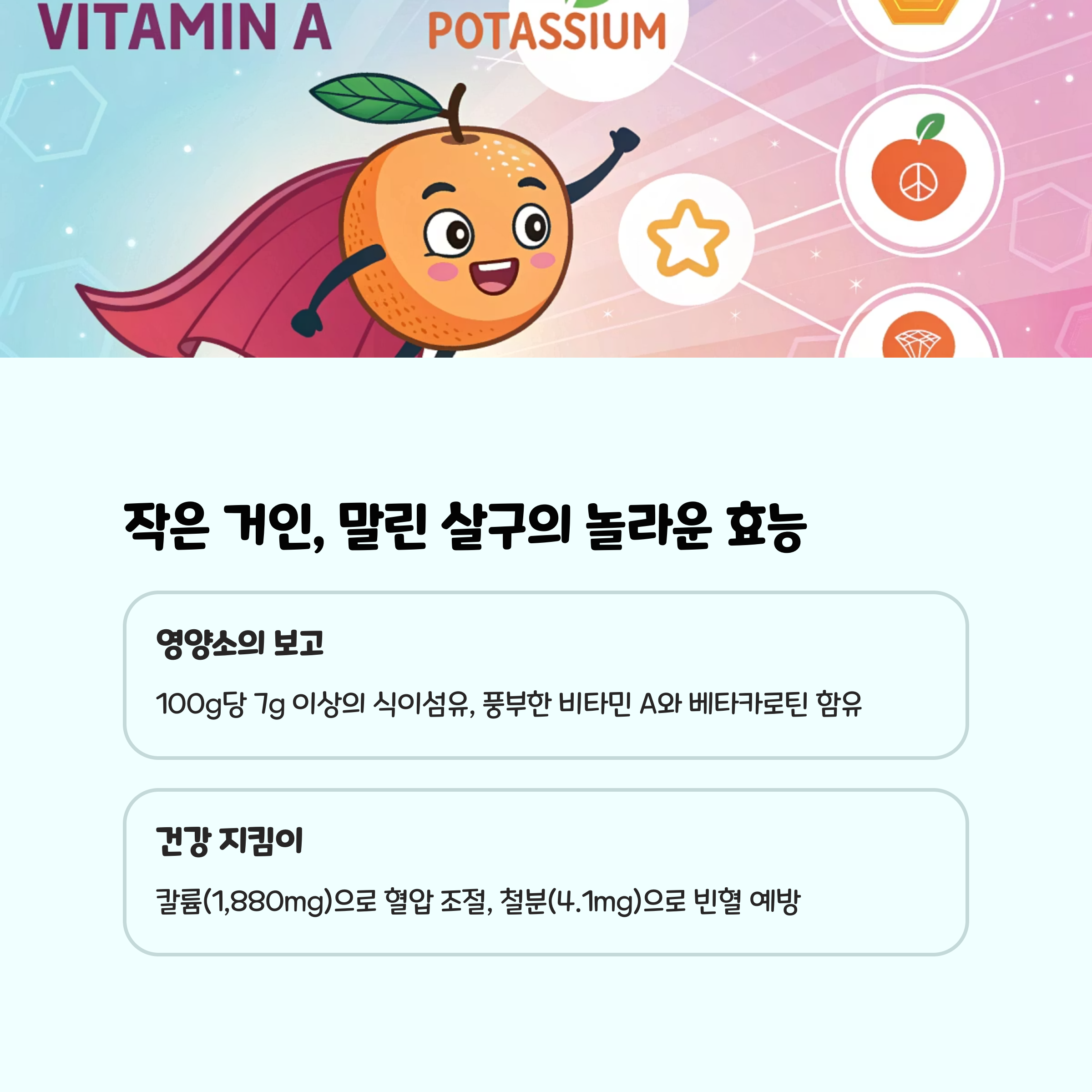 작은 거인, 말린 살구의 놀라운 효능 🌟