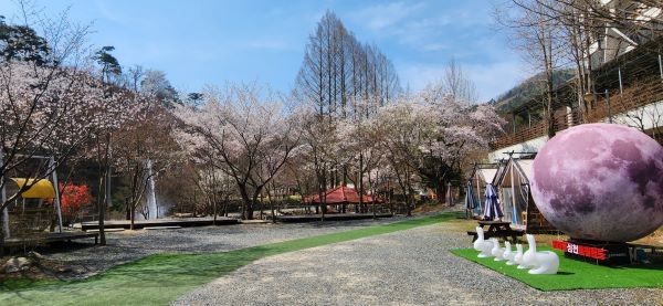 한마음심천캠핑랜드_전경