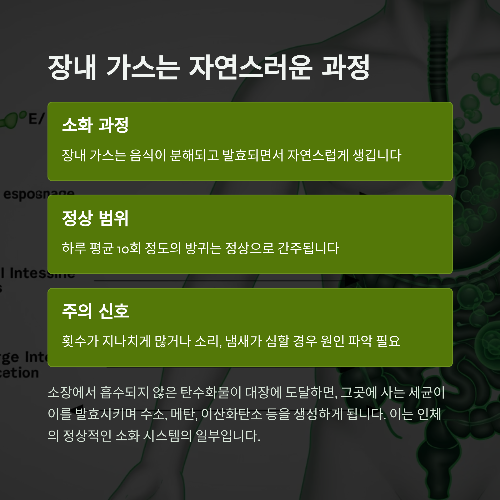 방귀가 자주 나오는 원인과 해결 방법 총정리