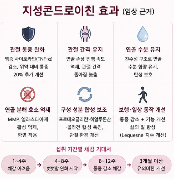 지성콘드로이친-효과-후기-소연골-함량-성분-차이-가격-최저가
