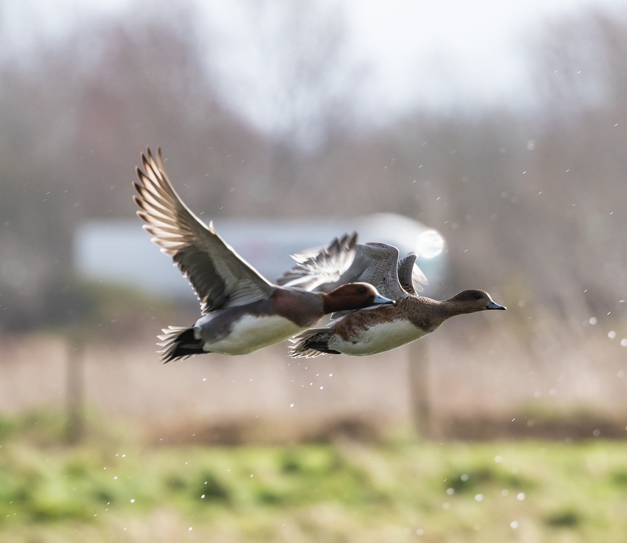 보청기 국가보조금 지원