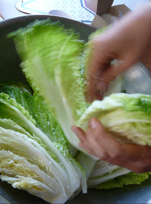 김치가 물러지는 이유