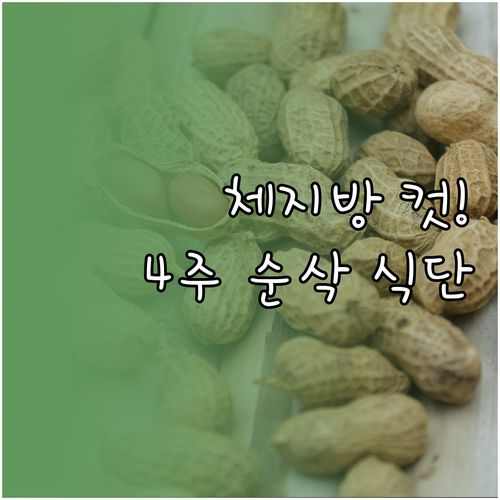 체지방 감량을 위한 4주 식단표와 실..