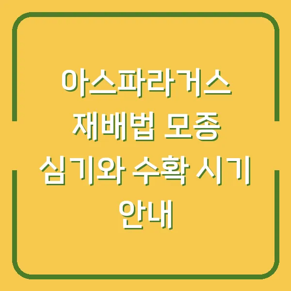 아스파라거스 재배법 모종 심기와 수확 시기 안내