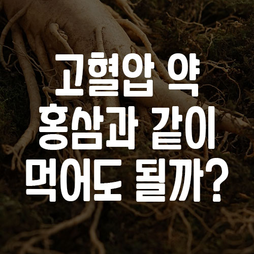 고혈압 약 홍삼