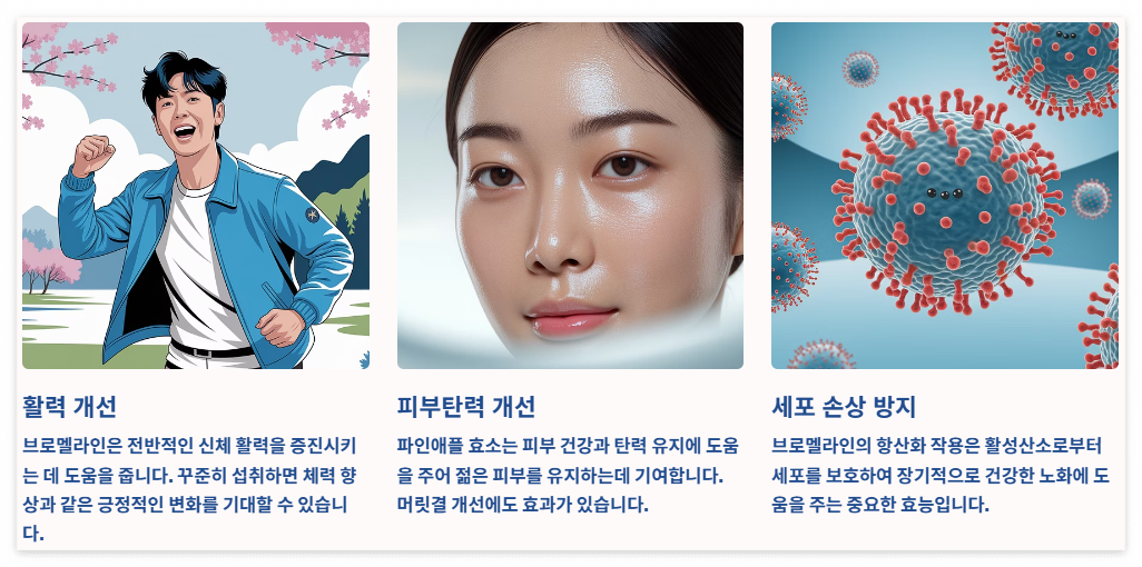 항산화 작용과 노화방지