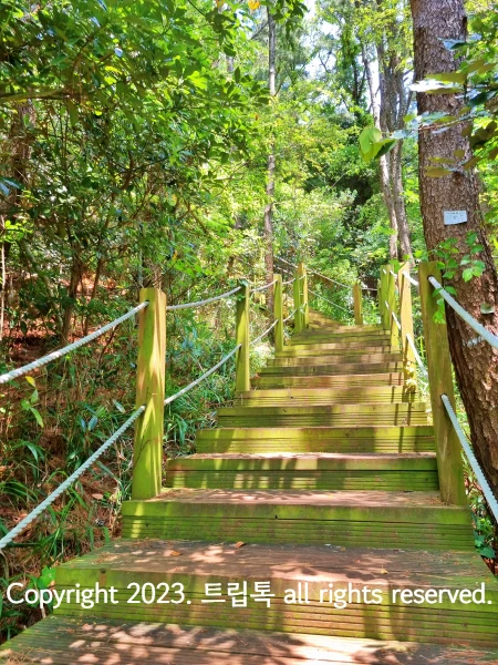 연두색 나무 계단과 난간이 있다. 그 밖으로 나무들이 있다. 수산봉을 올라가는 길의 모습이다.