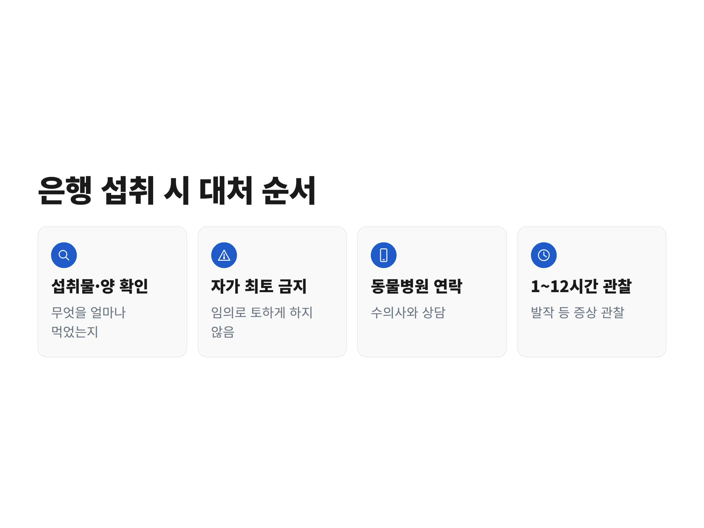 강아지가 은행열매를 먹었을 때 보호자가 밟아야 할 네 단계 대처 순서를 정리한 카드 이미지