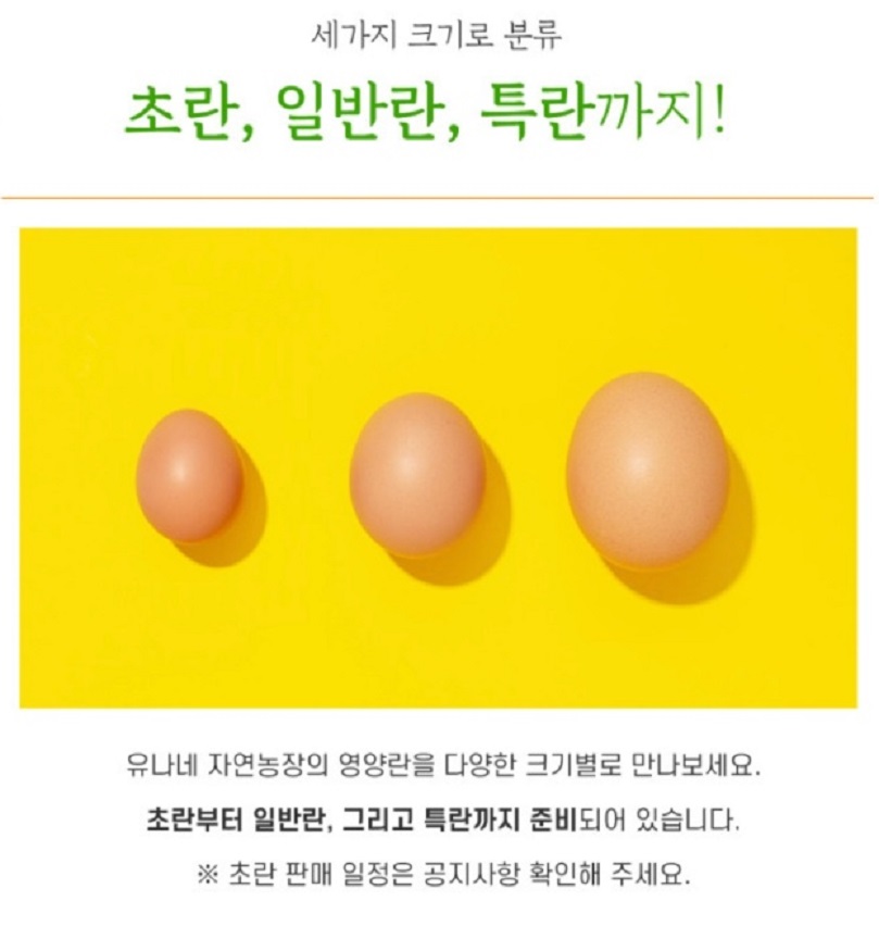 경기도-연천-유정란-유나네자연숲농장