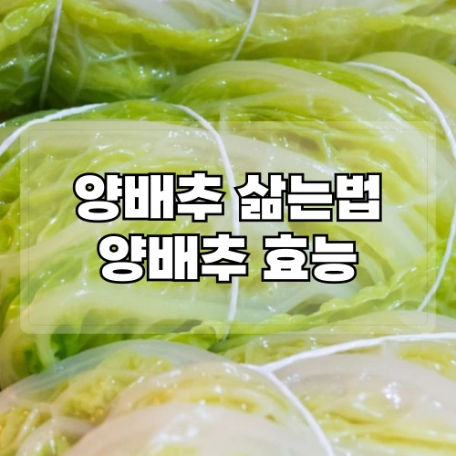 양배추삶는법-양배추-효능
