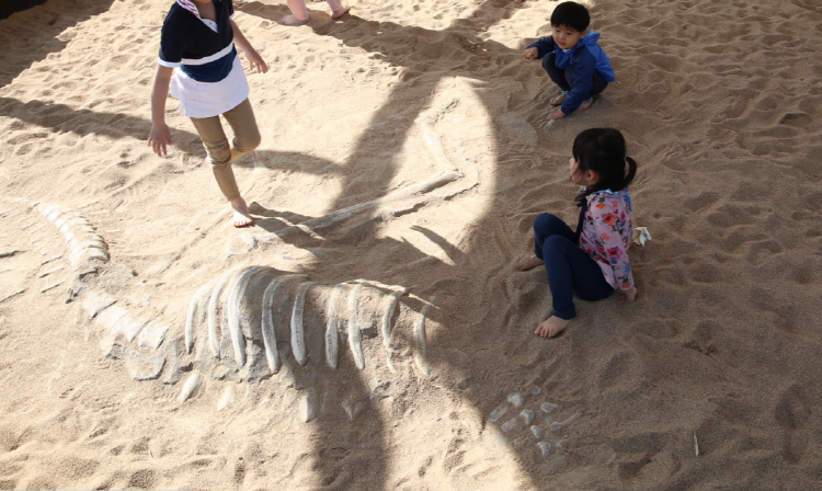 해남 공룡박물관