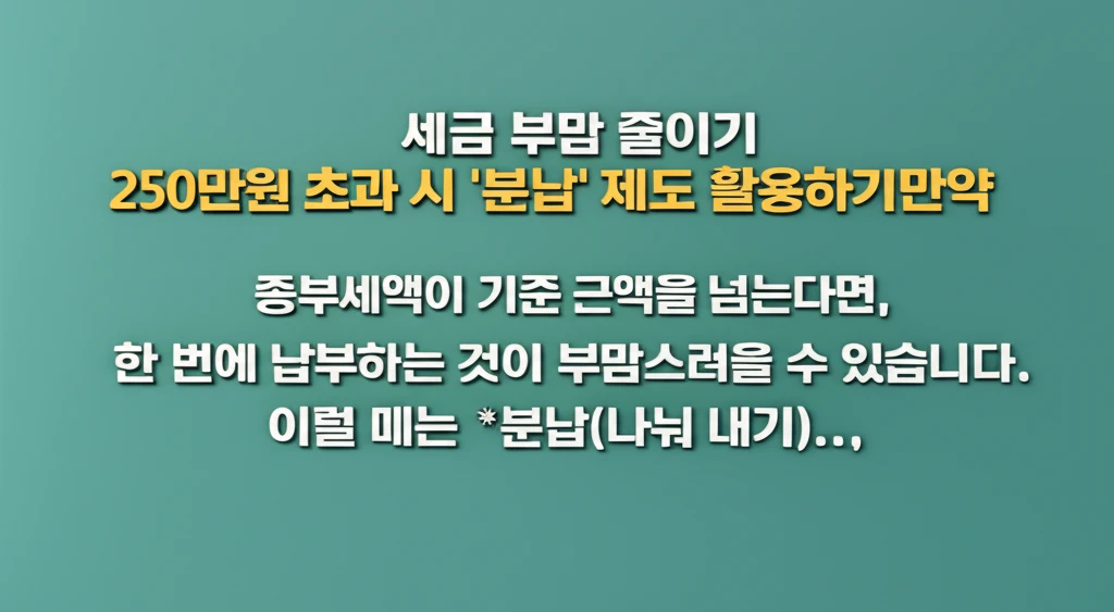 종부세 250만원 초과 시 분납 신청..