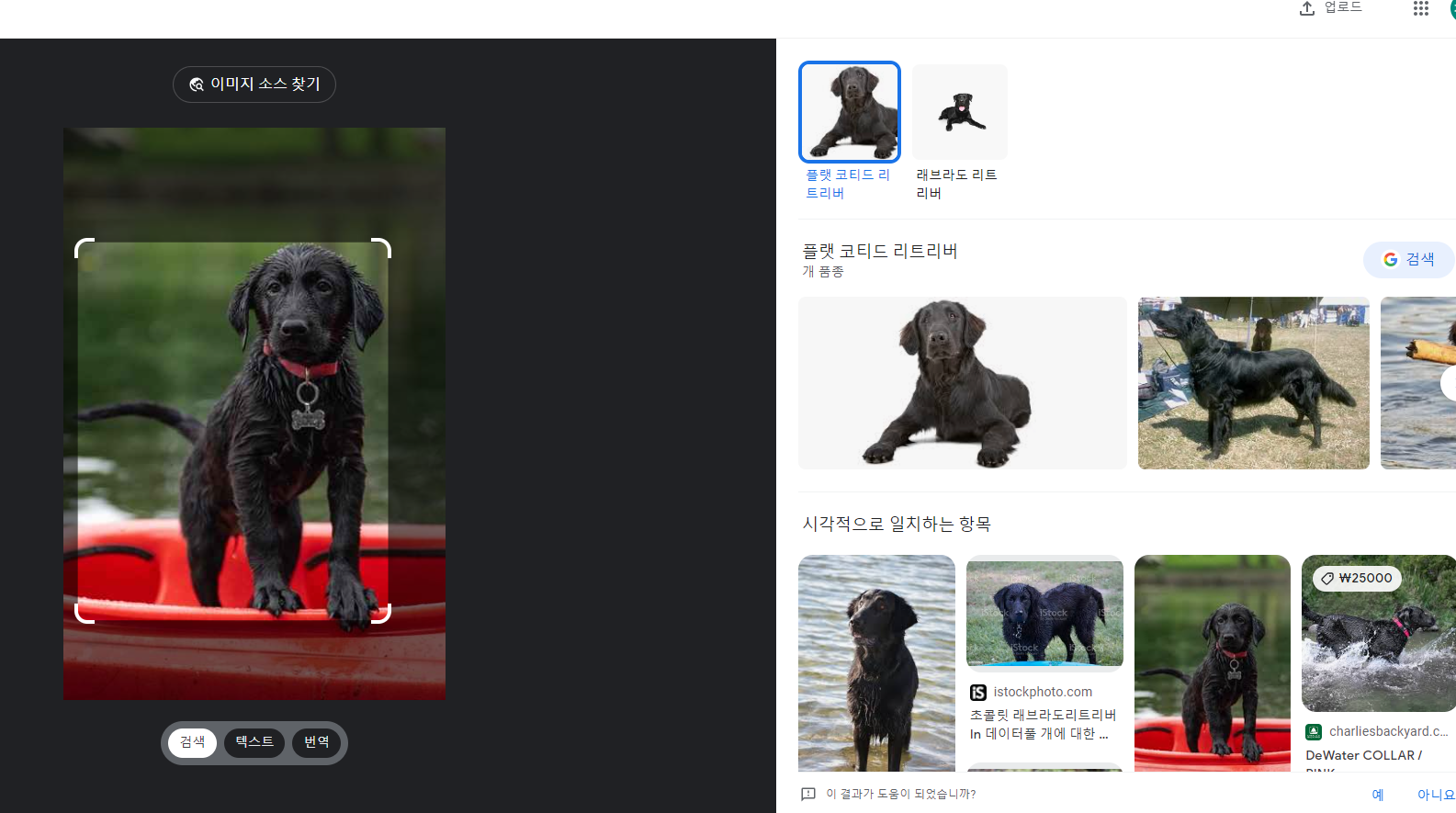 구글 이미지 검색