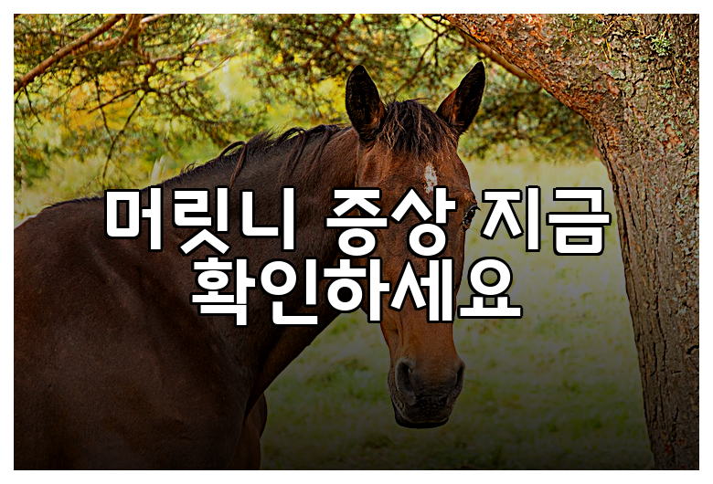 머릿니 증상 지금 확인하세요