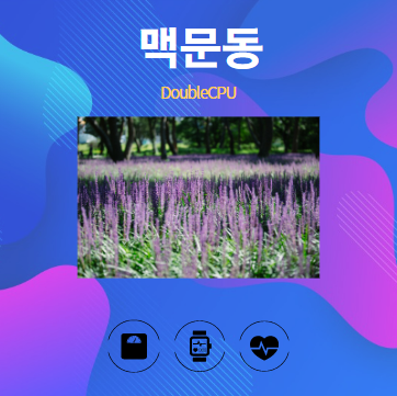 맥문동 알아보기