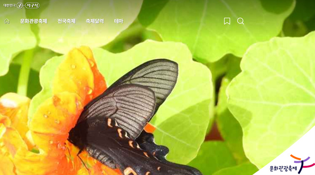 함평 나비대축제