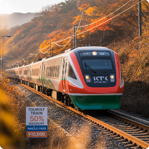 코레일 50%할인 당일치기 가을(단풍)여행 이미지