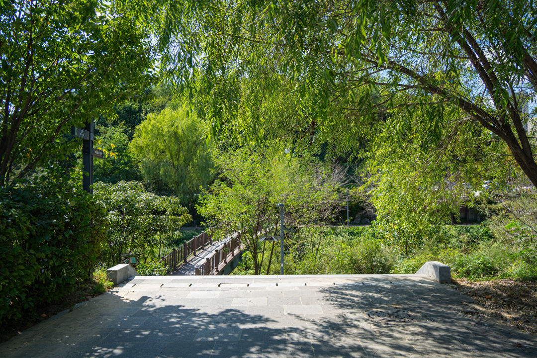 광교 푸른숲 도서관 가는길