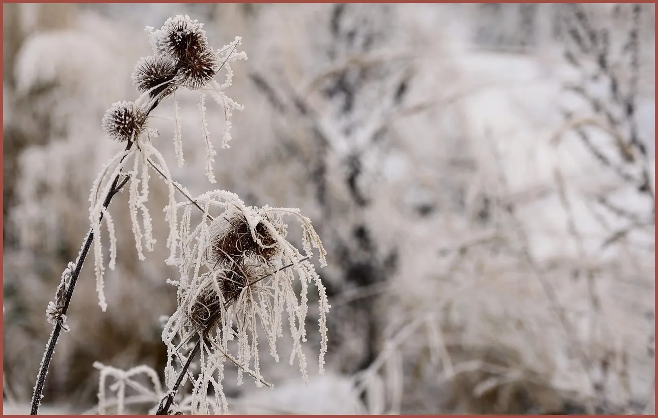 정기예금 이율높은곳
