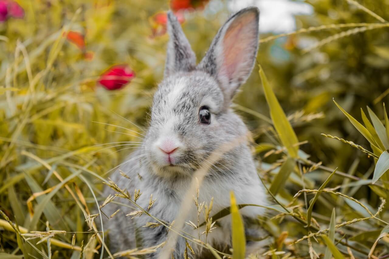 🐇 2025년8월토끼띠운세