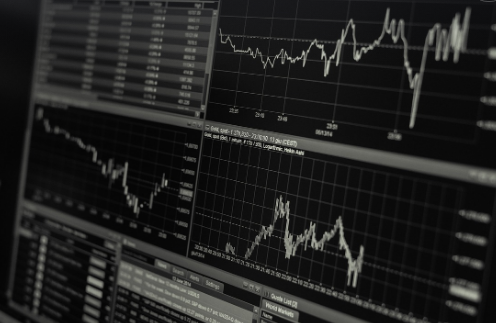 저축형 vs 투자형 비교사진
