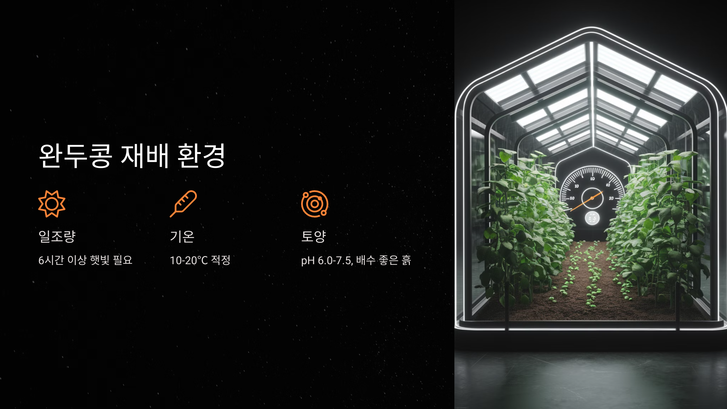 완두콩 재배에 적합한 환경