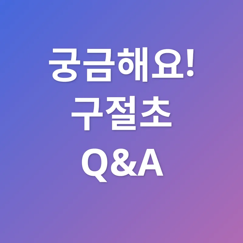 구절초_4