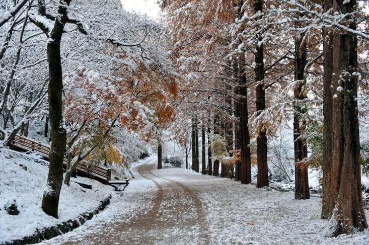 1월에 걷는 순창 강천산 겨울 산책 고요한 계곡 풍경 여행