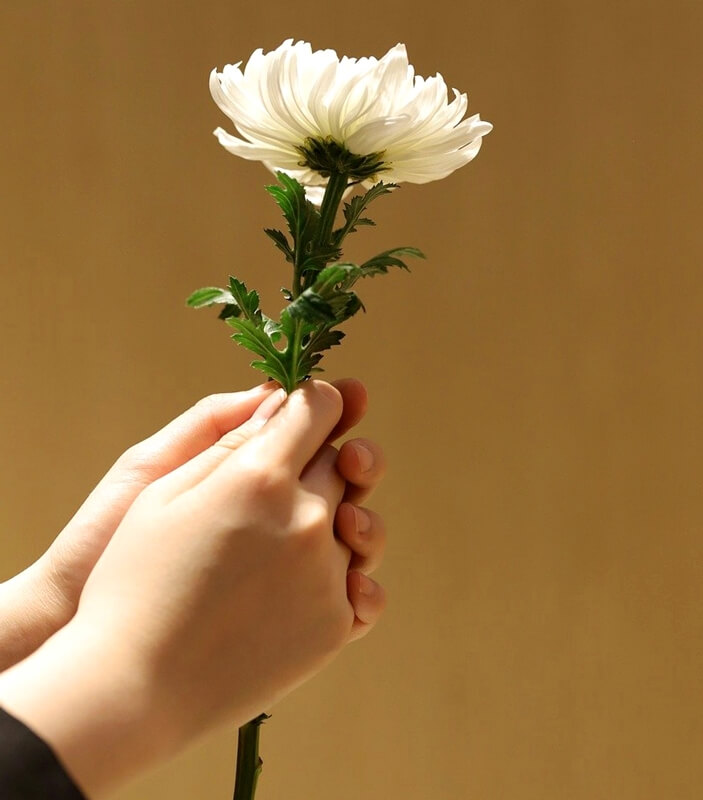문상과 부의금