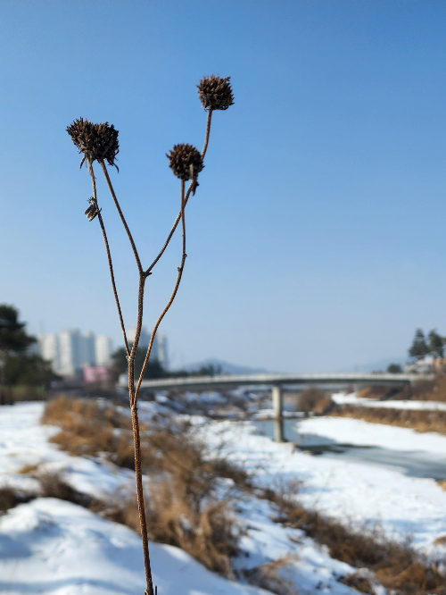 하천변 산책로