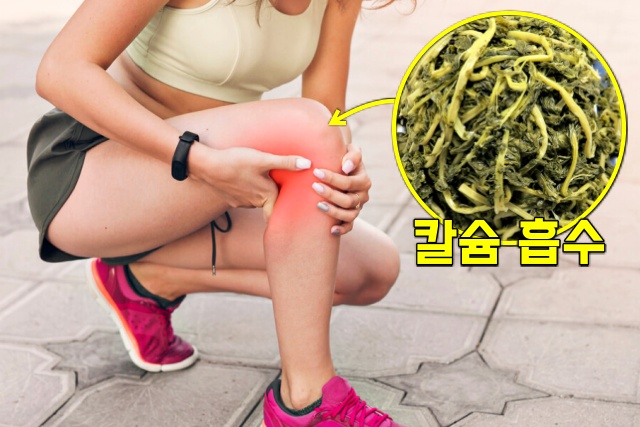 시래기 효능 뼈 관절 골다공증에 좋은 음식 여성호르문 부족, 생활 건강 팁줌 매일꿀정보