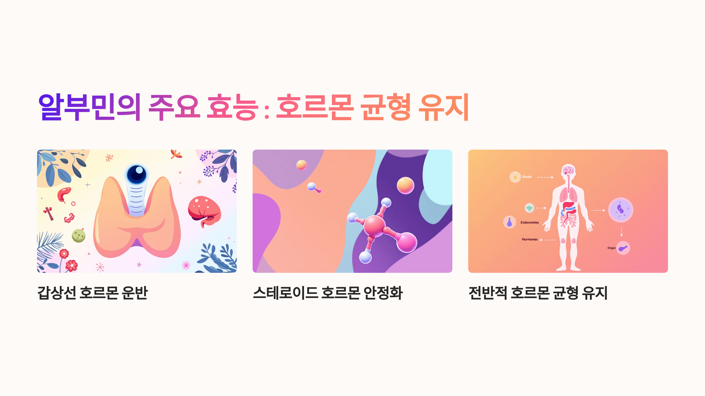 알부민과 관련된 사진입니다.