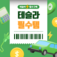 테슬라 필수 아이템 썸네일