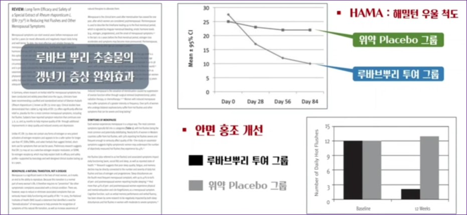 갱년기