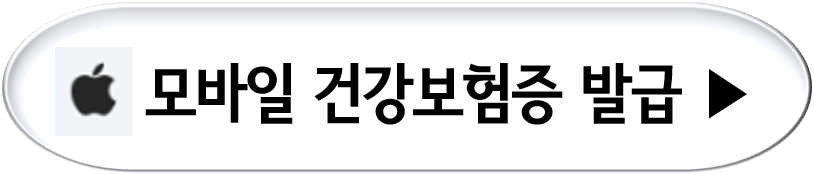 아이폰 모바일 건강보험증 발급