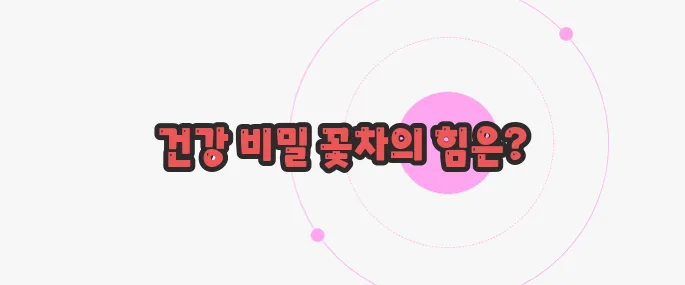 국화차 효능 천천히 들여다보죠