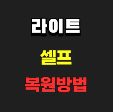 라이트셀프복원방법