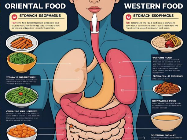 동양인 vs 서양인의 체증 원인 (식문화, 위장, 치료법)의 이미지