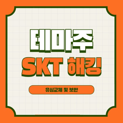 SKT 유심 해킹 이미지