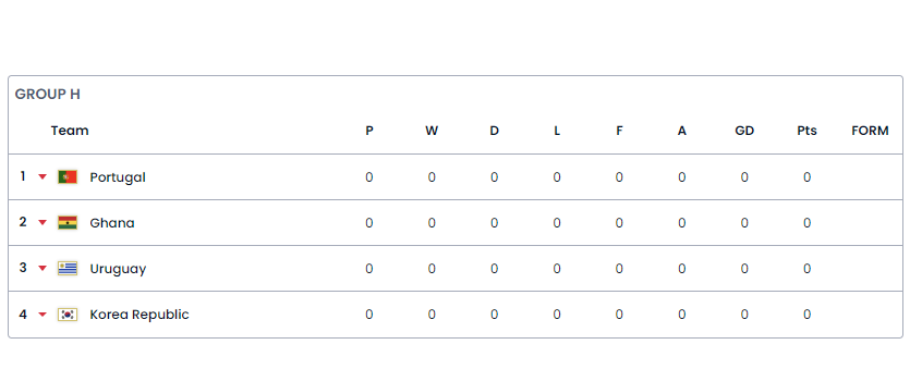 2022년 카타르 월드컵