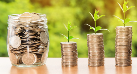 고흥-민생지원금