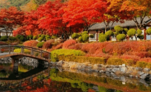 기차여행 단풍특선 추천