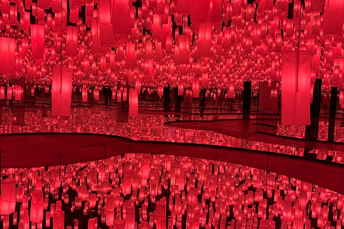 딜라이트