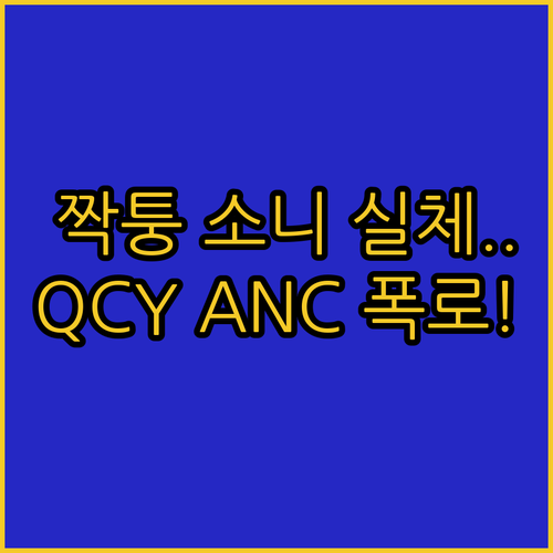 절대 사면 안 되는 짝퉁 소니 헤드폰..